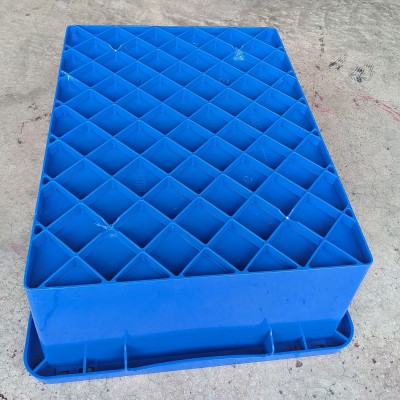 PXL_20230810_061142570-4